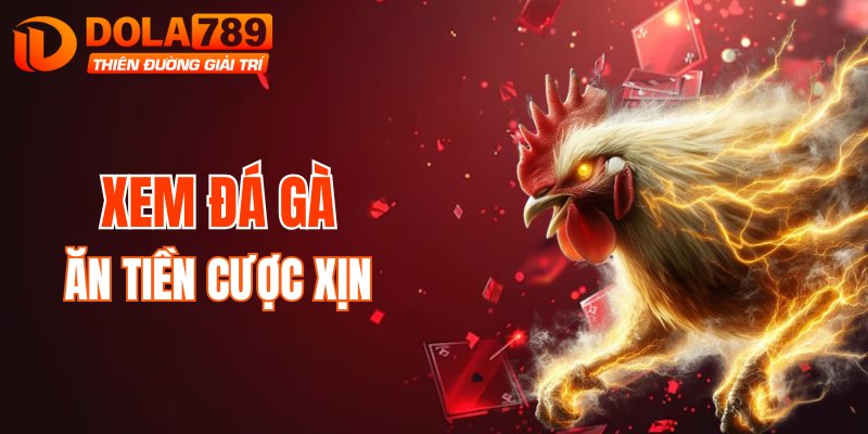 Đá gà sở hữu tỷ suất xem cực đỉnh ở nhà cái